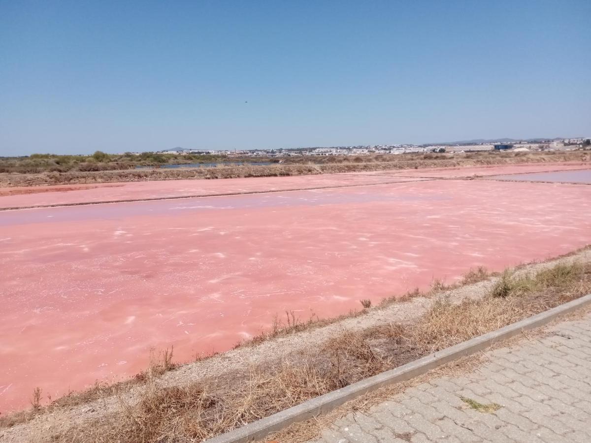 Le Boucanier Tavira Eksteriør bilde